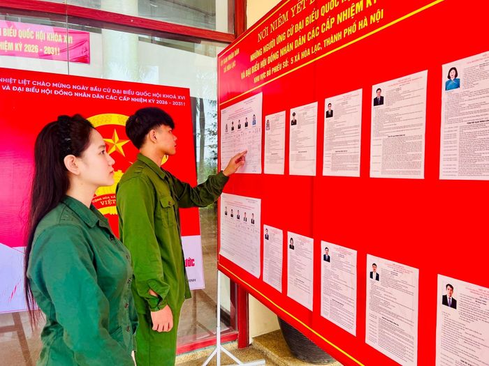 Em Nguyễn Thị Thu Hà, sinh năm 2007, sinh viên Khoa Khoa học chính trị, Trường Đại học Khoa học xã hội và Nhân văn tìm hiểu tiểu sử các ứng cử viên. Ảnh TH