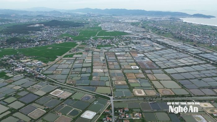 Một khu vực nuôi tôm rộng lớn nhìn từ trên cao. Ảnh: Tiến Đông