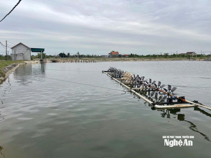 Một hồ nuôi tôm trên địa bàn xã Quỳnh Anh. Ảnh: Tiến Đông