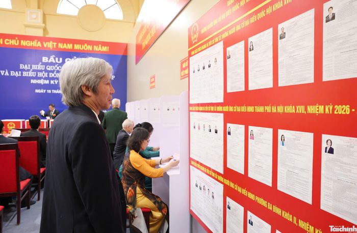 Cử tri theo dõi, tìm hiểu thông tin về các ứng cử viên.