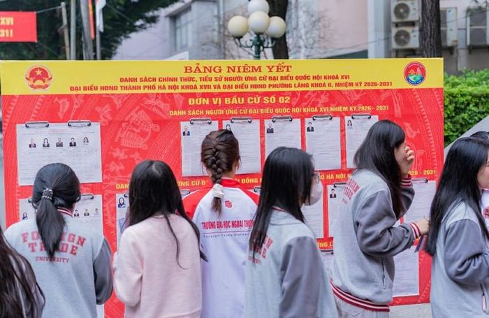 Cử tri là sinh viên Trường đại học Ngoại thương xem thông tin đại biểu được niêm yết tại khu vực bầu cử.