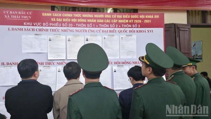 Cán bộ, chiến sĩ Hải đội Biên phòng 2 xem danh sách người ứng cử tại khu vực bỏ phiếu số 20, xã Thái Thụy (tỉnh Hưng Yên).