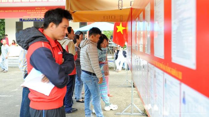Các cử tri nghiên cứu thông tin tại khu vực bỏ phiếu số 24, phường Thanh Khê.