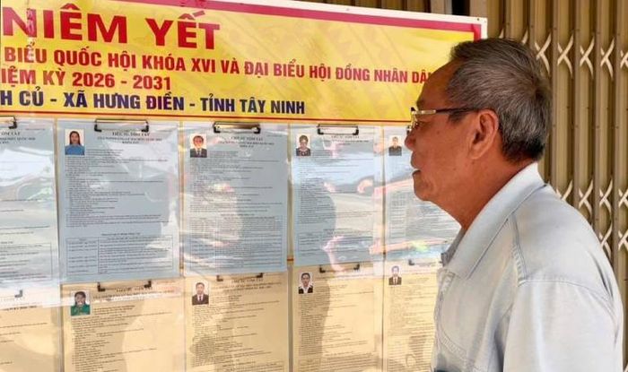 Cử tri cao niên Nguyễn Văn Thành, ấp Ngã Tư, xã Hưng Điền xem tiểu sử cử tri trước giờ bỏ phiếu.
