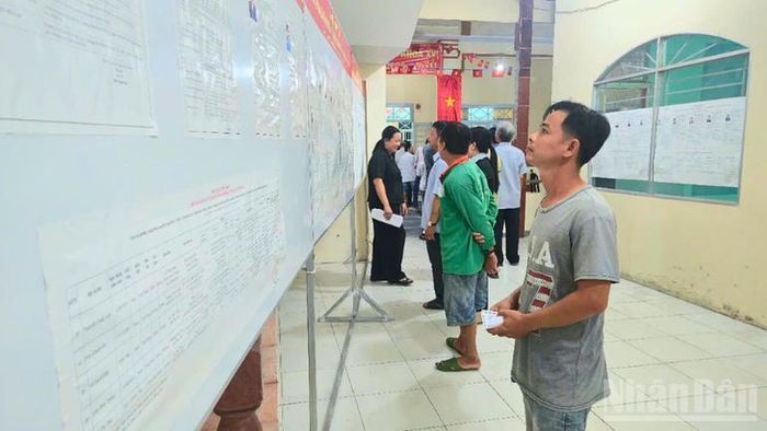 Cử tri đọc tiểu sử tóm tắt của các ứng cử viên.