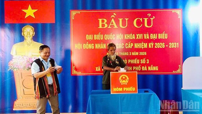 Xã Trà Đốc, thành phố Đà Nẵng có 6.186 cử tri tham gia bỏ phiếu bầu cử.