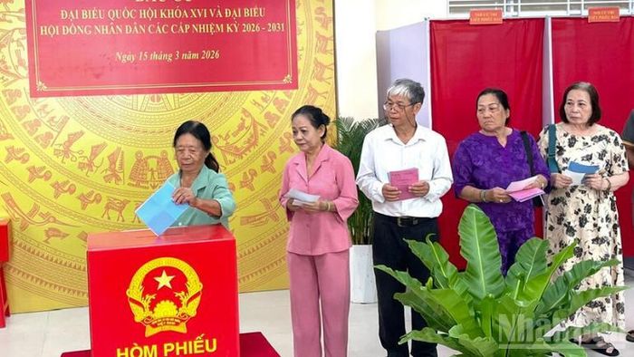 Cử tri thực hiện quyền và nghĩa vụ của mình.