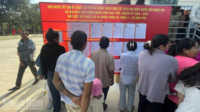 Cử tri khu vực bầu cử số 25 ở buôn Tuôr, xã Hòa Phú xem tiểu sử ứng cử viên trước khi bỏ phiếu.