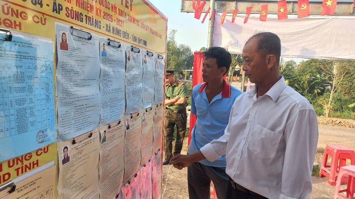  Các cử tri là nông dân ở vùng Đồng Tháp Mười (Tây Ninh) đọc kỹ thông tin người ứng cử trước khi bỏ phiếu. Ảnh: QUANG VINH 