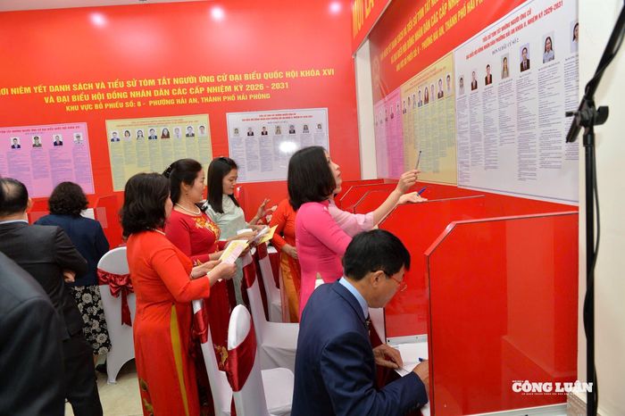 Cử tri nghiên cứu lại tiểu sử và chương trình hành động của các ứng cử trước khi bỏ phiếu.