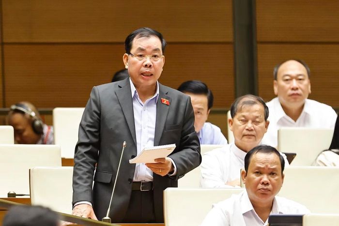 Đại biểu Nguyễn Quang Huân tranh luận tại phiên chất vấn trên nghị trường. (Ảnh: Doãn Tấn/TTXVN)