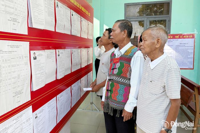 Cử tri tìm hiểu tiểu sử các ứng cử viên đại biểu Quốc hội và đại biểu HĐND các cấp tại Khu vực bỏ phiếu số 7 - ấp Hiệp Nghĩa, xã Định Quán. Ảnh: Đan Nhi