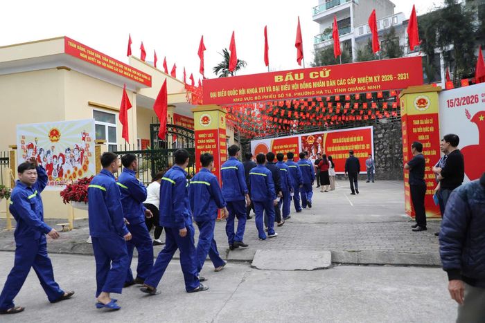 Tại khu vực bỏ phiếu số 18 đơn vị bầu cử số 7, khu phố Hà Tu 3, phường Hà Tu có trên 23.000 cử tri của phường Hà Tu; trong đó, có trên 60% cử tri là cán bộ, công nhân, lao động của ngành Than. Ảnh: T. Nguyên