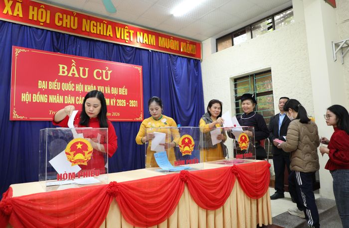 Đông đảo cử tri xã Trường Hà tiến hành bỏ phiếu bầu đại biểu Quốc hội Khóa XVI và đại biểu HĐND các cấp nhiệm kỳ 2026-2031