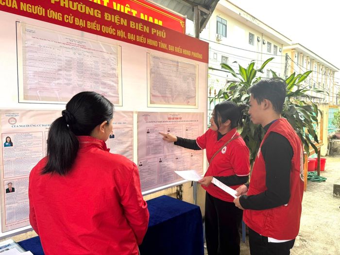 Cán bộ Hội Chữ thập đỏ tỉnh Điện Biên nghiên cứu tiểu sử người ứng cử trước khi bỏ phiếu