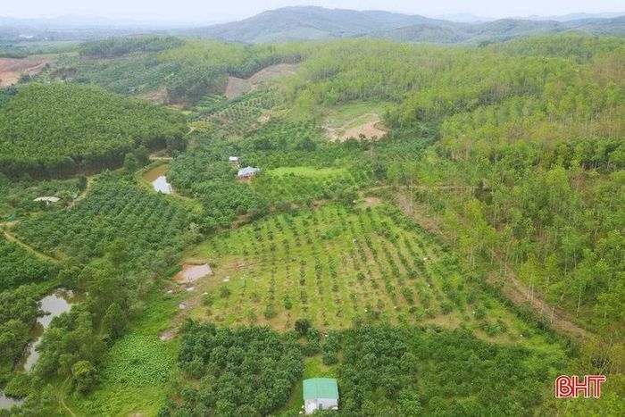 Ranh giới giữa diện tích đất người dân khai hoang và phần đất của Công ty TNHH MTV Cao su Hương Khê – Hà Tĩnh đã được phân định nhưng việc cấp "sổ đỏ" vẫn vướng mắc.
