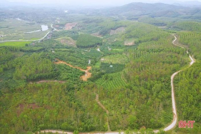 Khu vực đồi Ba Cạnh, tiểu khu 186, xã Hương Phố – nơi 24 hộ dân khai hoang, canh tác nhiều năm nay.