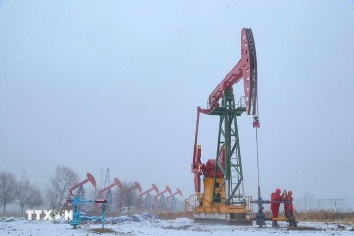 nguyên liệu gia tăng ngày 7/3, dầu hỏa ghi nhận mức giảm lũy kế lớn nhất, hơn 8.100 đồng/lít (tương đương 23,25%). Xăng E5 RON 92 và dầu diesel giảm khoảng 3.000 đồng/lít, trong khi xăng RON 95 giảm khoảng 1.500 đồng/lít.