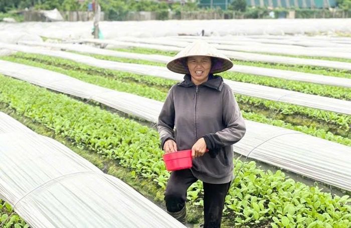 Người dân cần chú trọng sản xuất theo nhu cầu thị trường. Ảnh: PV