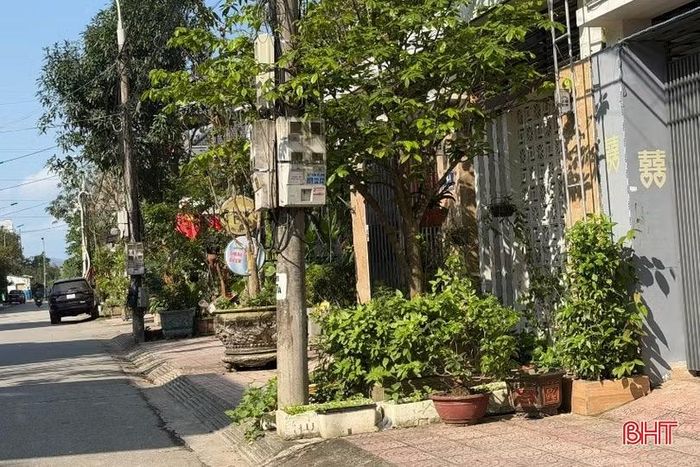 Một chậu cây có thể làm đẹp cho riêng một ngôi nhà, nhưng nếu đặt sai chỗ, nó sẽ làm xấu đi cả một tuyến phố và gây phiền hà cho cả cộng đồng.