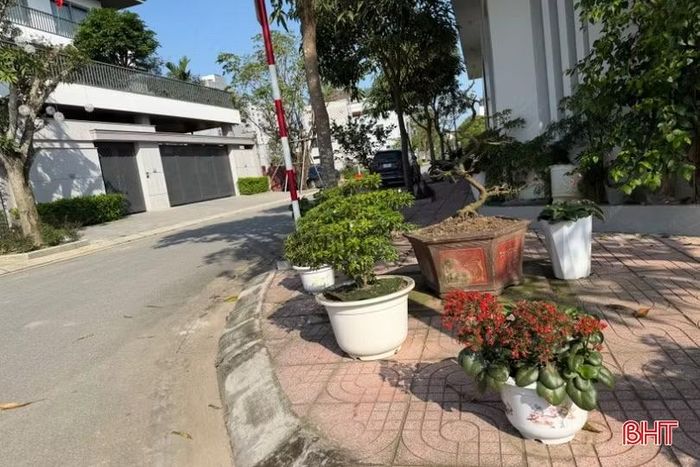 Những chậu cây tưởng chừng như đang trang trí không gian nhà cửa, thế nhưng thực tế lại trở thành những vật cản đối với người đi bộ trên vỉa hè.