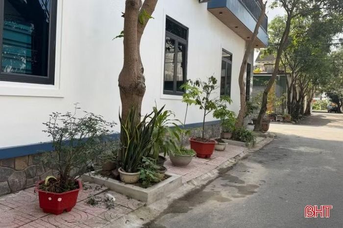 Từ vỉa hè những cung đường lớn đến các ngõ phố nhỏ, đâu đâu cũng thấy xuất hiện "vườn cây di động". Không gian sinh hoạt chung vốn đã chật hẹp nay càng thêm bí bách, dễ xảy ra va chạm giao thông hơn.