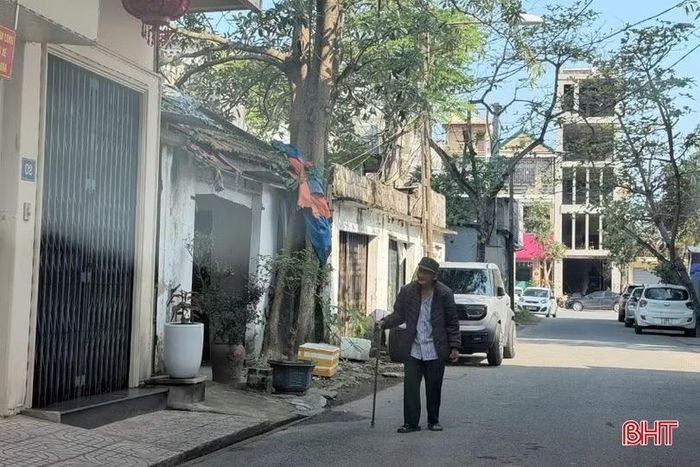 Tại một ngõ phố thuộc đường Phan Đình Phùng, vỉa hè vốn đã chật hẹp, việc các hộ dân để cây cảnh lấn chiếm không gian ít ỏi đó lại càng khiến người đi bộ di chuyển khó khăn hơn.