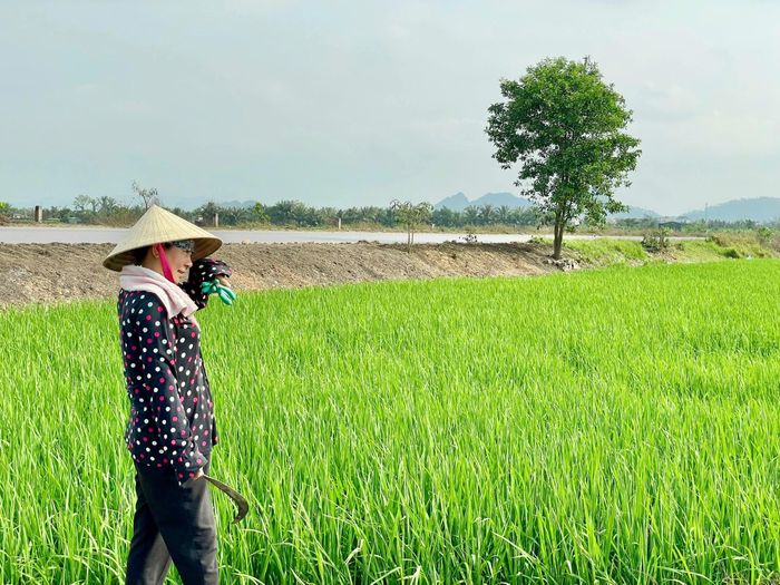 Hình ảnh người nông dân đi thăm đồng với gương mặt rạng rỡ, thể hiện niềm tin về một vụ mùa bội thu