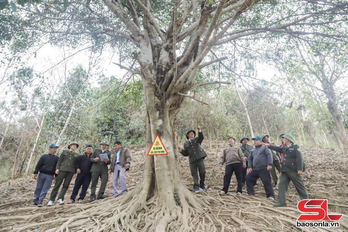 Lực lượng kiểm lâm Khu vực I và nhân dân bản Đồng Tâm, xã Quỳnh Nhai tuần tra rừng.