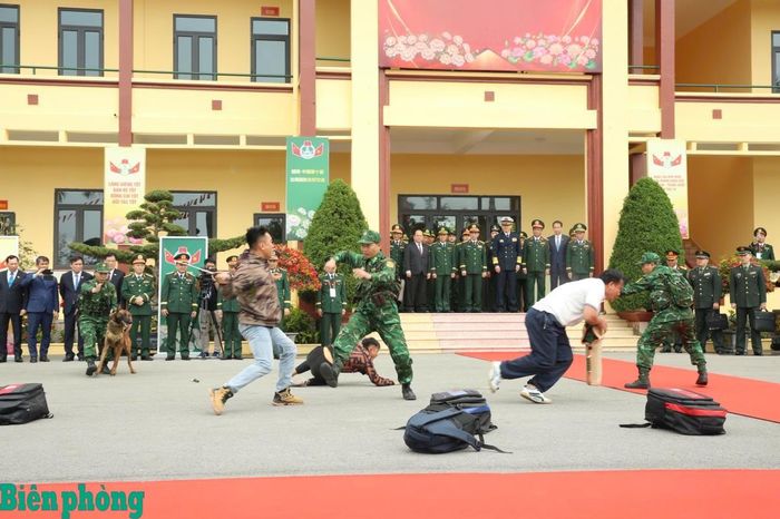 Đoàn đại biểu cấp cao Bộ Quốc phòng hai nước tham quan đội mẫu thực hành tình huống Đội công tác Biên phòng sử dụng chó nghiệp vụ phát hiện, đánh bắt tội phạm ma túy tại Đồn Biên phòng Trà Cổ, Bộ đội Biên phòng tỉnh Quảng Ninh. Ảnh: Chiến Khu