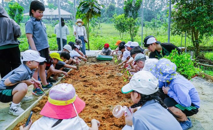 Sau hợp nhất, xã Hòa Vang có nhiều mô hình du lịch nông nghiệp sinh thái. Trong ảnh: Đoàn học sinh tham quan, trải nghiệm tại Bana Rita Glamping Farm. Ảnh: PV