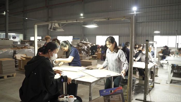 Ngành sản xuất ván ép góp phần nâng cao giá trị lâm sản của địa phương.