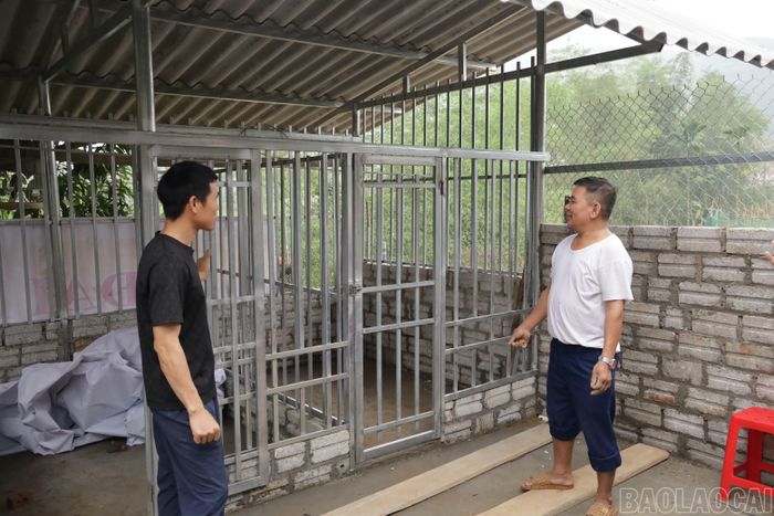 Anh La Công Đức (áo đen) trao đổi về kỹ thuật làm chuồng nuôi với hộ dân đang chuẩn bị nuôi hươu tại thôn Trại Phung.