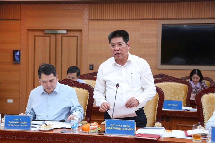 Cục trưởng Cục Phát triển doanh nghiệp nhà nước Vũ Hồng Phương trình bày báo cáo. Ảnh: Đức Minh