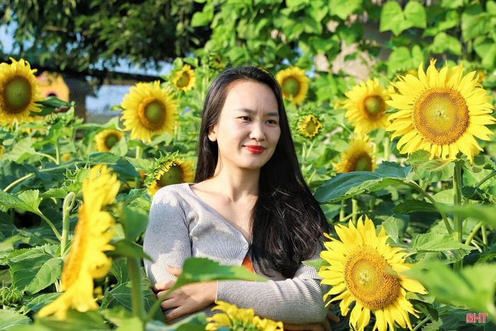 Chị Nguyễn Thu Hà (phường Thành Sen) chia sẻ: “Tôi rất thích vườn hoa hướng dương ở một số tỉnh nhưng do khoảng cách khá xa nên chưa có dịp ghé thăm. Khi biết tại Hà Tĩnh cũng có một vườn hoa tương tự, tôi nhanh chóng sắp xếp công việc, dành một buổi chiều đến tham quan, chụp ảnh".