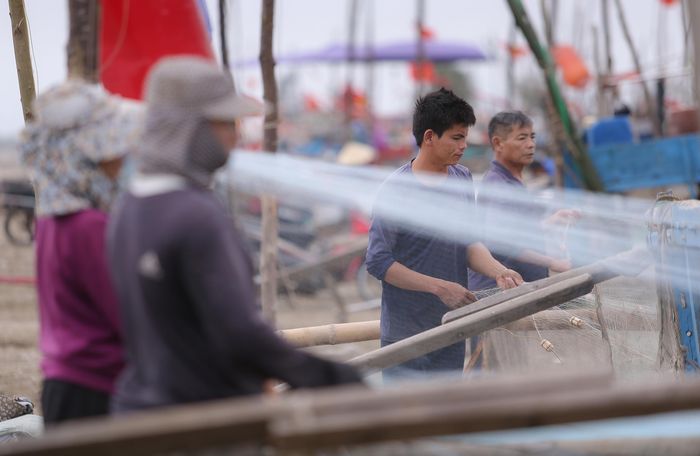 Ông Lê Văn Thông, Trưởng phòng Kinh tế xã Hải Châu cho biết: Toàn xã có hơn 300 bè mảng đánh lưới gần bờ. Đây là một trong những nguồn thu nhập chính của người dân nơi đây.
