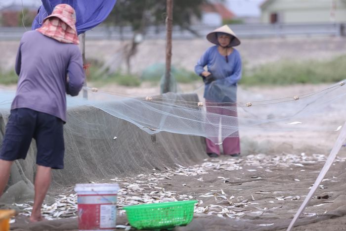 Cũng theo các ngư dân nơi đây, tùy vào lượng cá, sau khi trừ đi chi phí, mỗi chuyến ra khơi người dân kiếm được từ 500 nghìn đến 1 triệu đồng. Đây là nguồn thu nhập chính để nuôi các con ăn học bởi nơi đây ruộng rất ít.