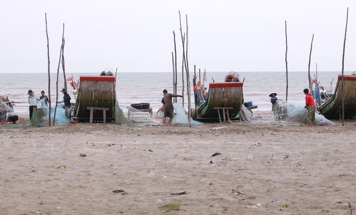 Bè nào cũng mang về những tay lưới nặng trĩu, dày đặc cá trích béo mập và tươi rói. Tiếng cười nói vui vẻ của bà con ngư dân rộn vang cả một vùng.
