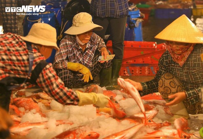 Tàu cá nằm bờ vì không đủ điều kiện, trụ cột trong nhà do phụ nữ đảm nhiệm.