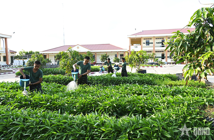  Chiến sĩ mới Đại đội 2, Tiểu đoàn 1, Trung đoàn 894 chăm sóc vườn rau xanh sau giờ nghỉ. 