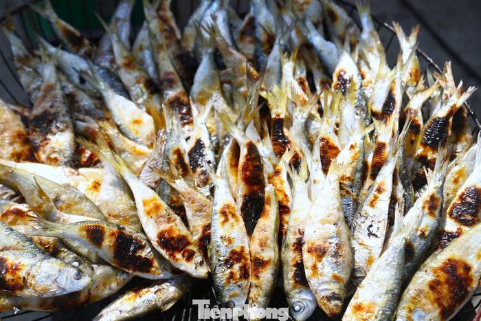 Cá trích vừa đánh bắt lên bờ được nướng ngay.