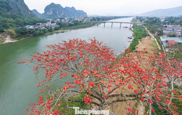 Cây gạo còn có tên gọi khác là Mộc Miên hay Hồng Miên. Hoa gạo có màu đỏ, thường nở vào cuối tháng 3, đầu tháng 4.