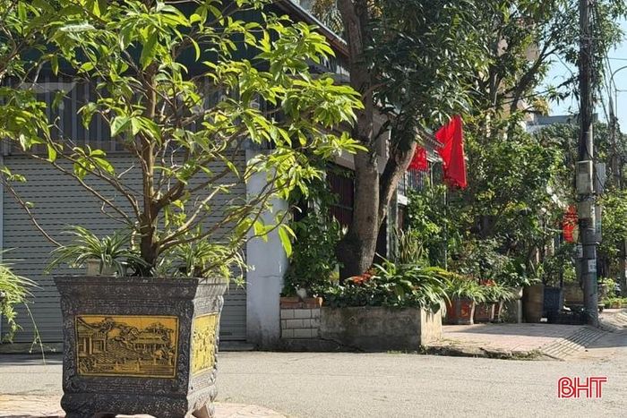 Tình trạng chậu cây cảnh "tràn" ra vỉa hè tại một ngõ ở phường Thành Sen "án binh bất động" sau khi Báo và phát thanh, truyền hình Hà Tĩnh phản ánh.