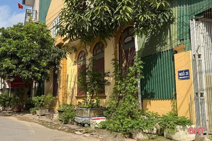 Ảnh chụp ngày 18/3 và ngày 21/3 tại khu vực ngõ 25 - Nguyễn Huy Tự, cây cảnh vẫn "tràn" ra vỉa hè.