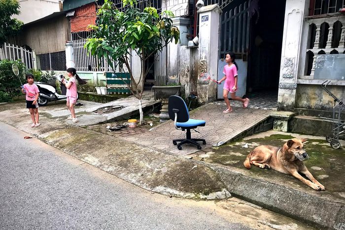 Người dân ở phường Tân Phong đã chủ động đeo rọ mõm cho chó.