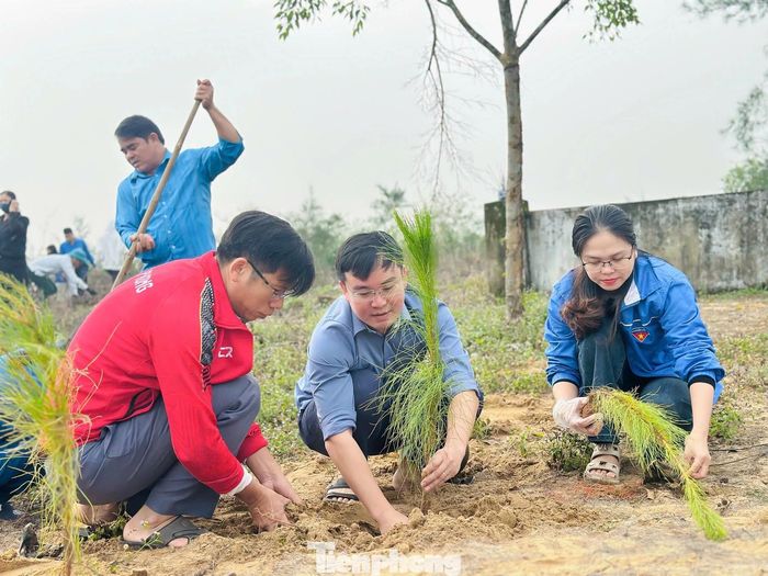 Lãnh đạo xã Thạch Khê cùng đoàn viên, thanh niên trồng cây tại rừng phòng hộ ven biển.