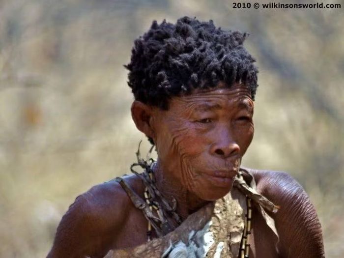 Bậc thầy sinh tồn nơi sa mạc khắc nghiệt. Sống chủ yếu ở sa mạc Kalahari, họ phát triển kỹ năng tìm nước, săn bắt và nhận biết dấu vết động vật cực kỳ tinh vi để tồn tại trong điều kiện thiếu thốn. Ảnh: Pinterest.
