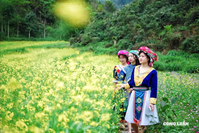 Du khách diện trang phục truyền thống ghi lại khoảnh khắc với hoa cải. Ảnh: Hoàng Chính