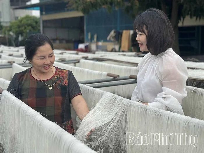 Những sợi mì gạo trắng ngần được phơi khô dưới nắng tự nhiên.