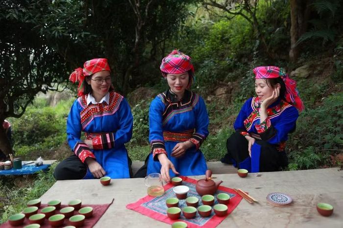 Văn hóa trà dưới tán cây cổ thụ hàng trăm tuổi. (Ảnh: Anh Đoàn)